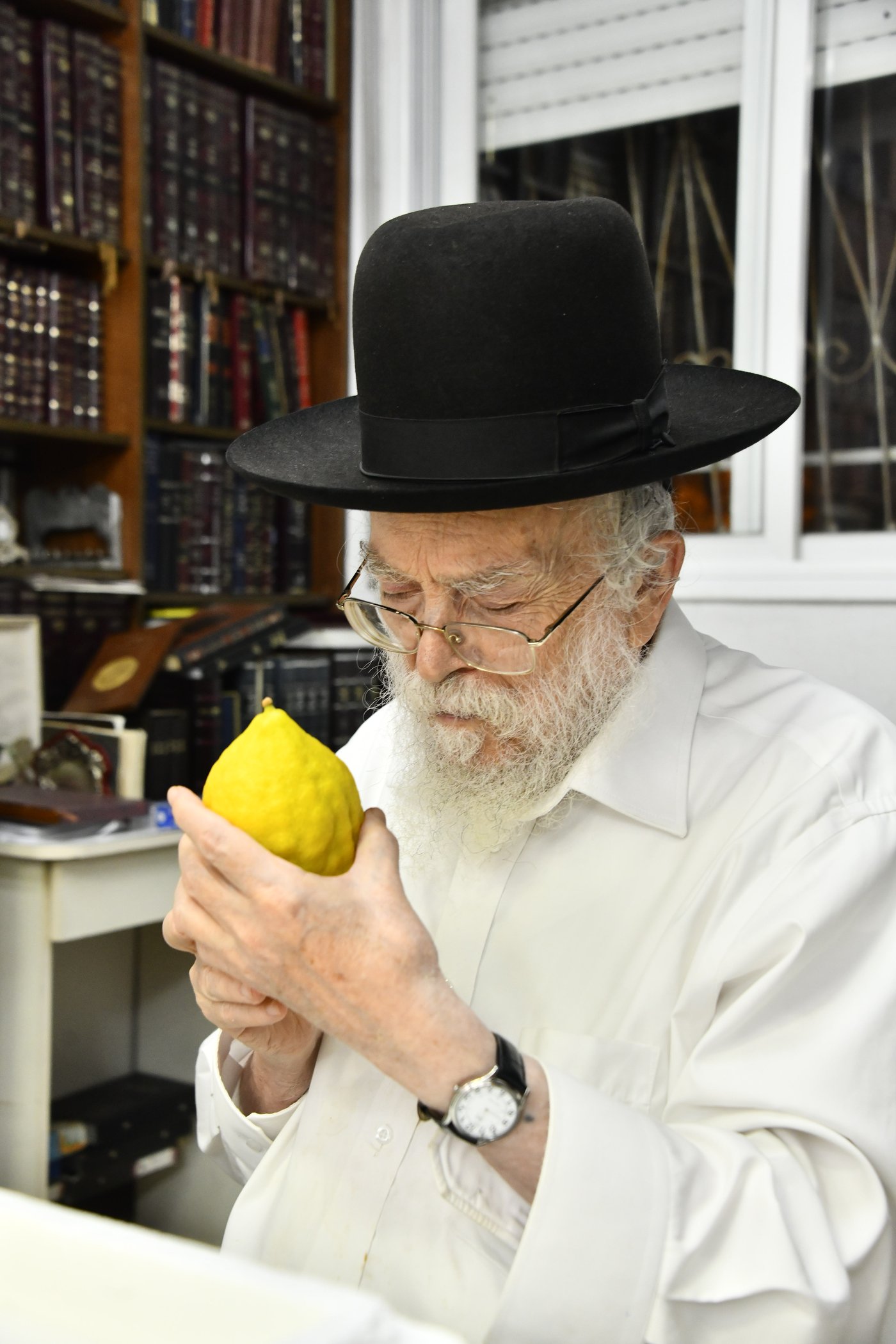 הגר"מ אלישיב בבדיקת אתרוגים