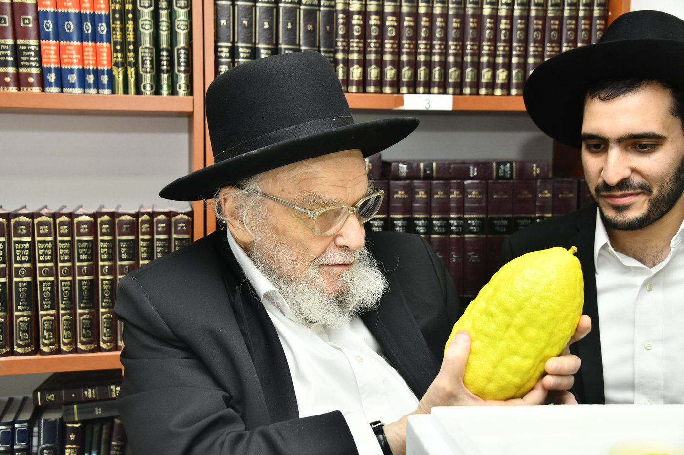 הגאון רבי משה הלל הירש בודק אתרוגים