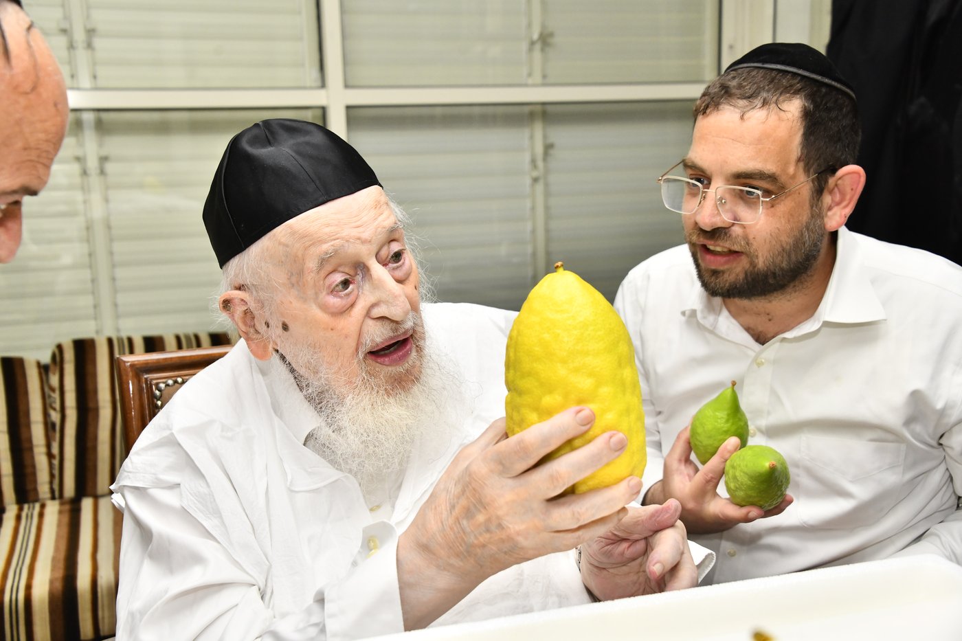 הגאון רבי מאיר צבי ברגמן בודק אתרוגים
