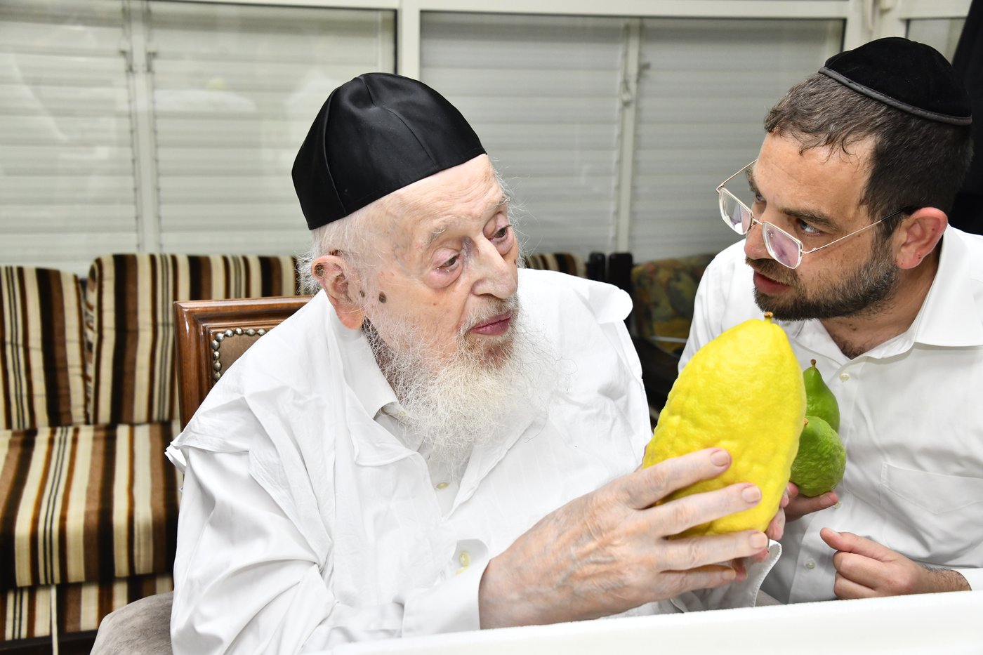 הגאון רבי מאיר צבי ברגמן בודק אתרוגים