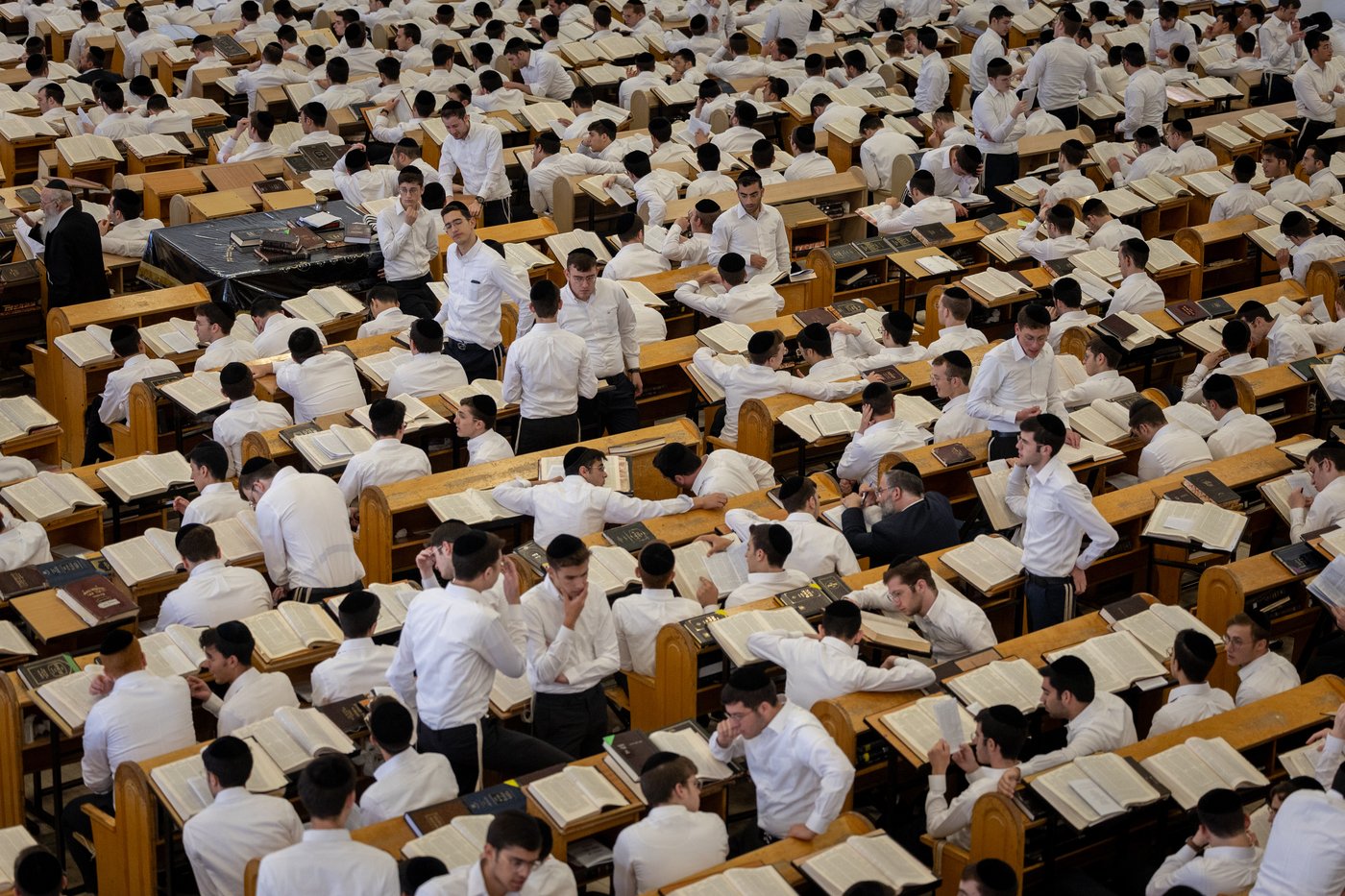 שטייגען ב'חברון'