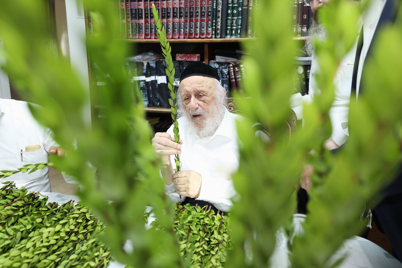 הגרב"ד פוברסקי בבחירת ד' מינים