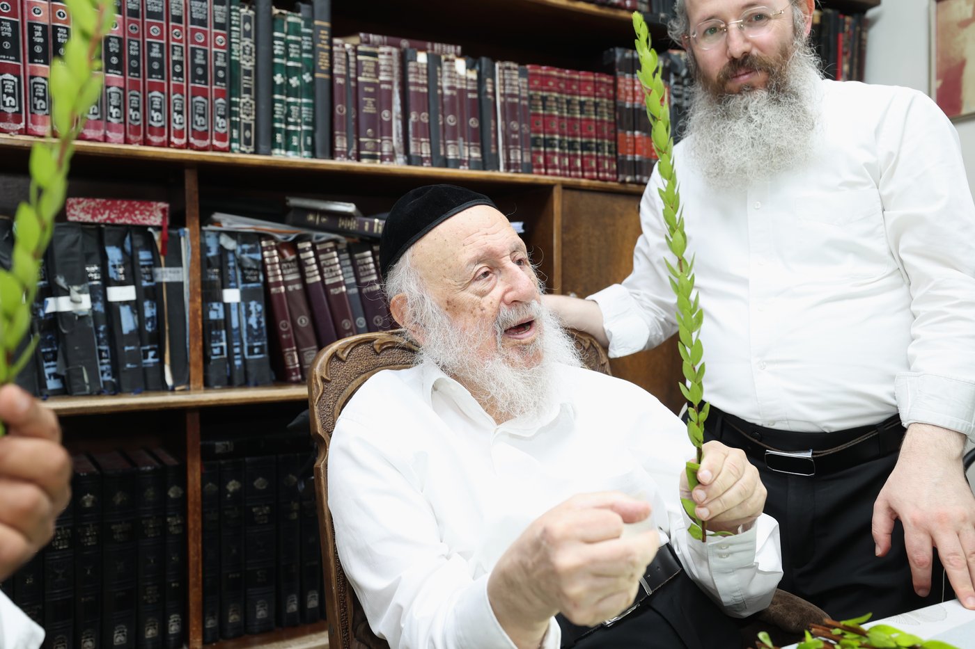 הגרב"ד פוברסקי בבחירת ד' מינים