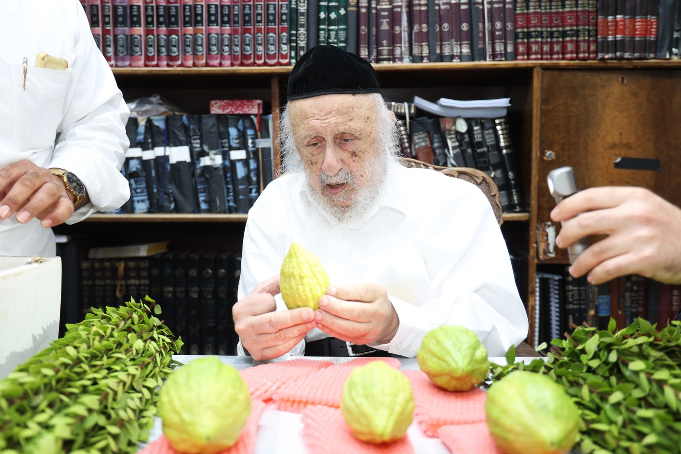 הגרב"ד פוברסקי בבחירת ד' מינים