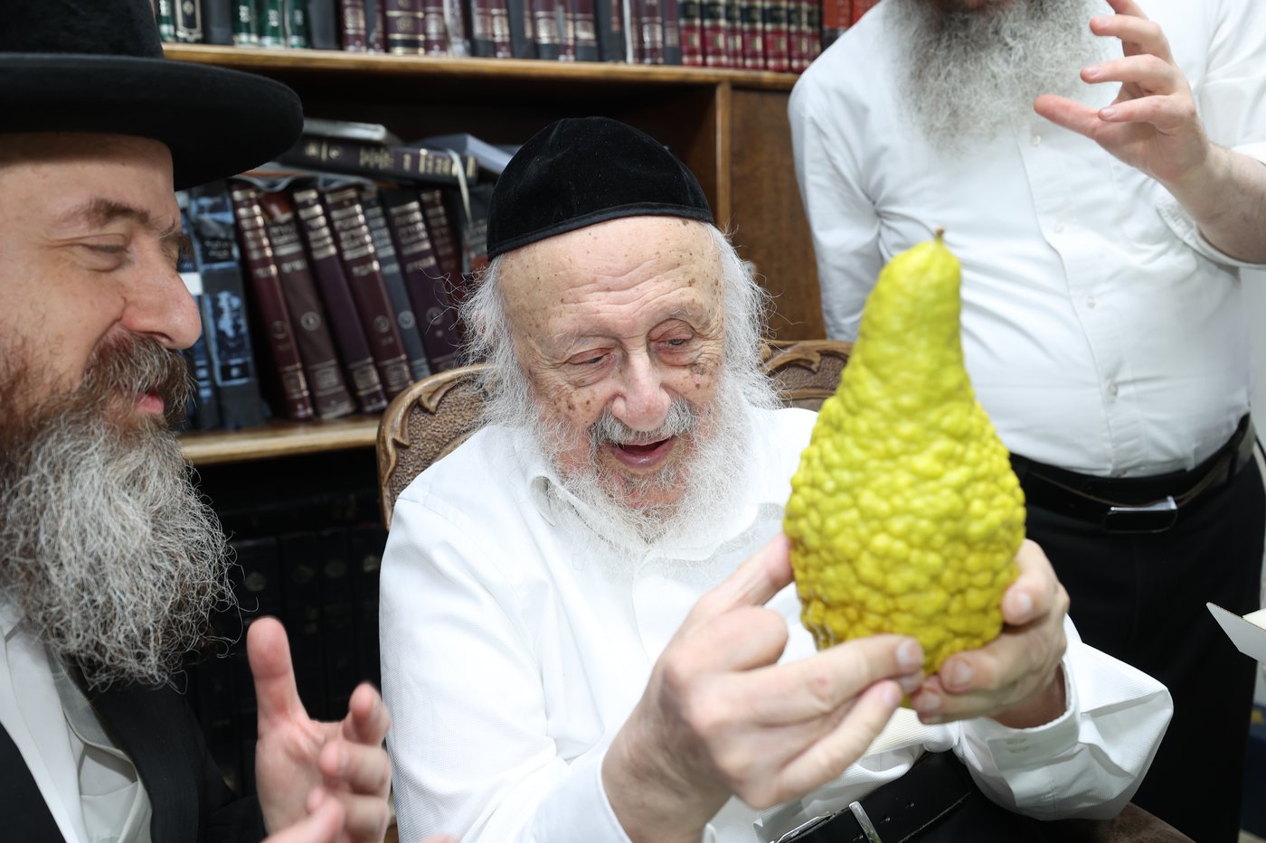 הגרב"ד פוברסקי בבחירת ד' מינים