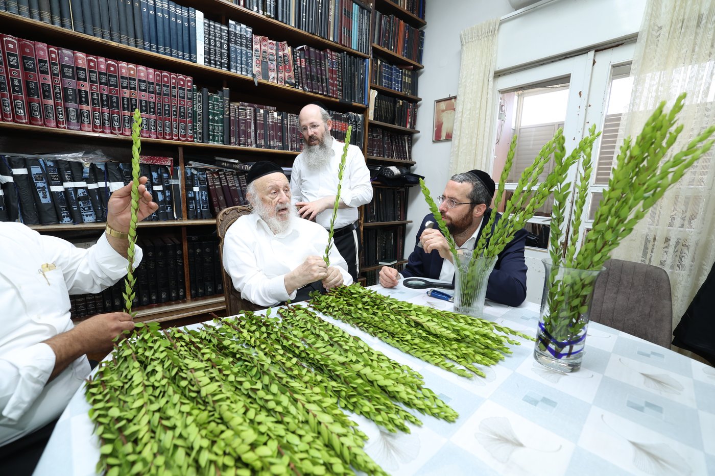 הגרב"ד פוברסקי בבחירת ד' מינים