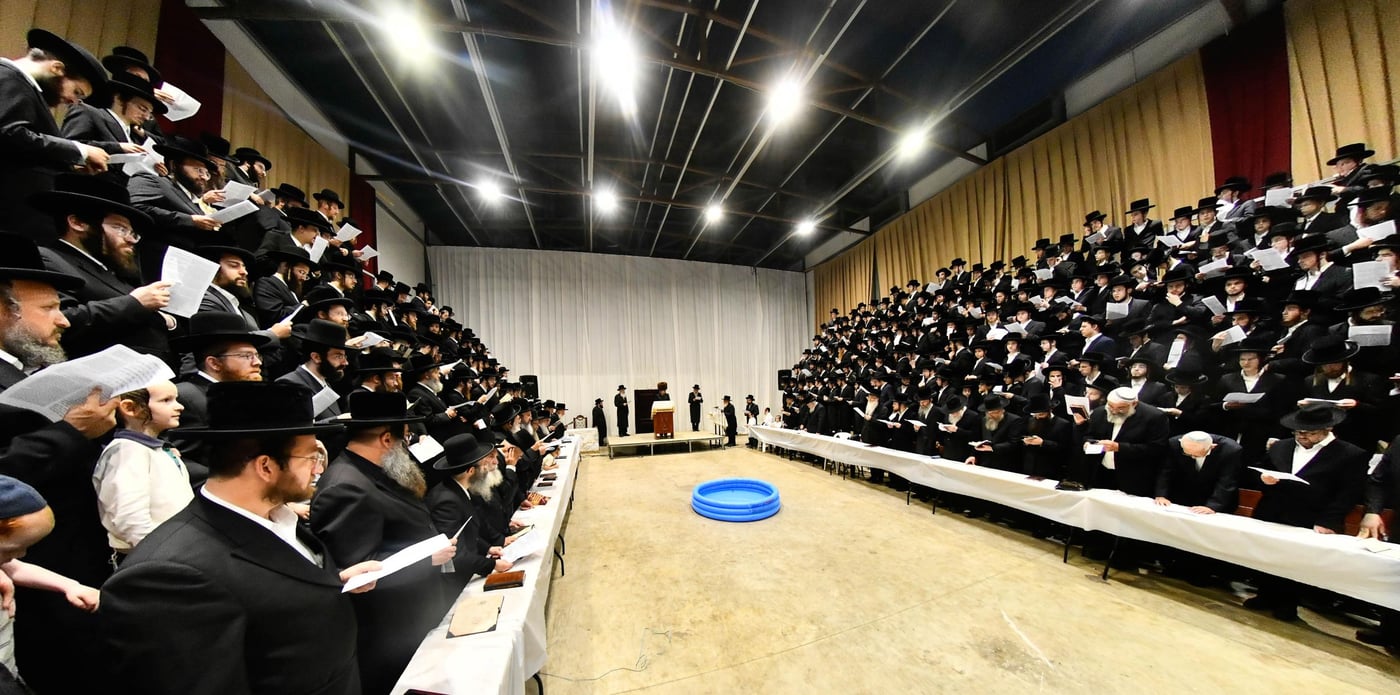 תשליך בחצה"ק סאדיגורה