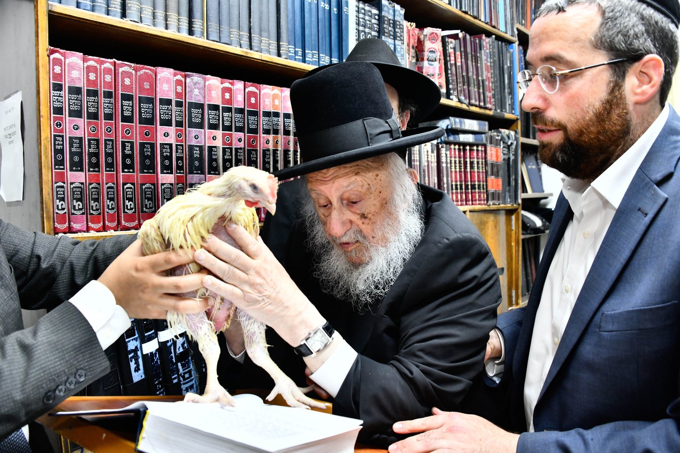 הגרב"ד פוברסקי במנהג כפרות 