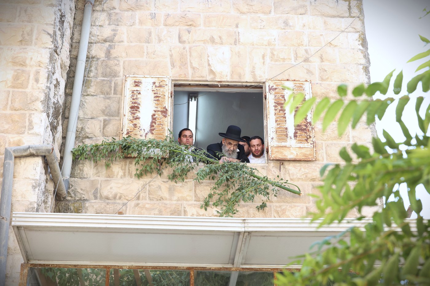 הגאון הרב משה צדקה מסכך את סוכתו