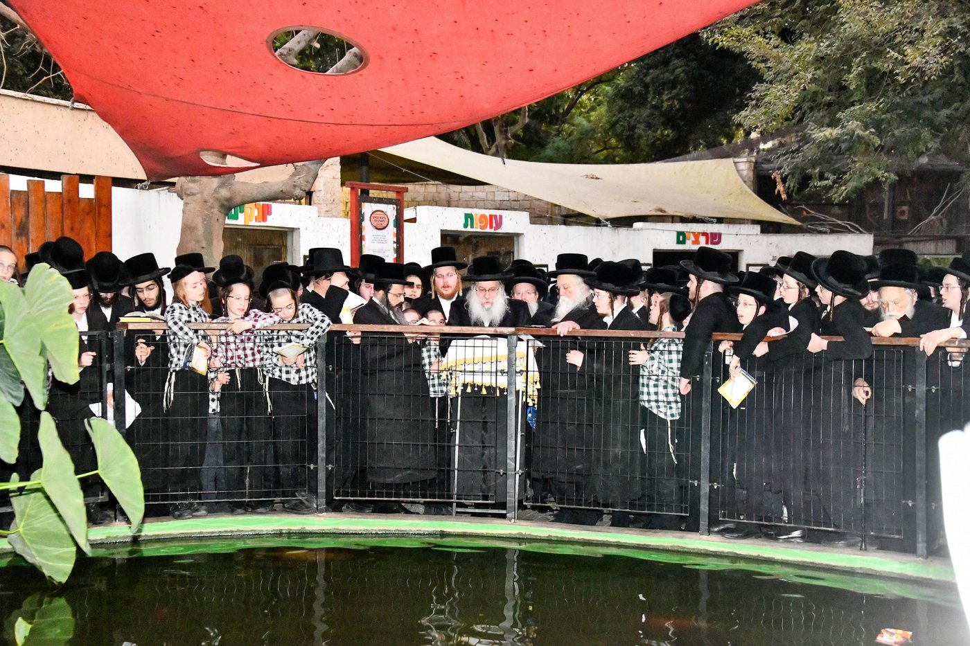 תשליך בחצה"ק נדבורנה