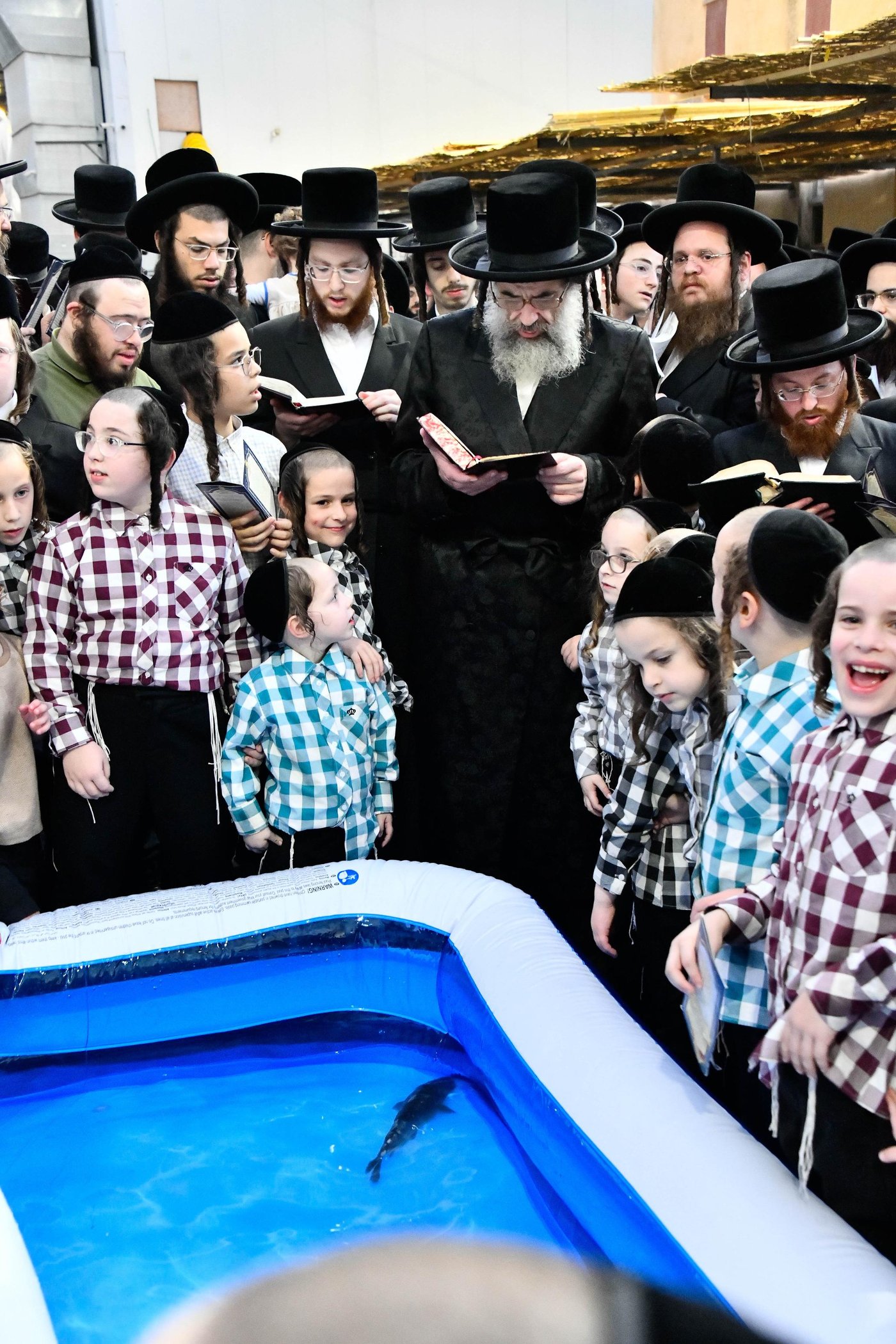הגה"צ רבי חיים מאיר הגר, אב"ד ויז'ניץ בתשליך