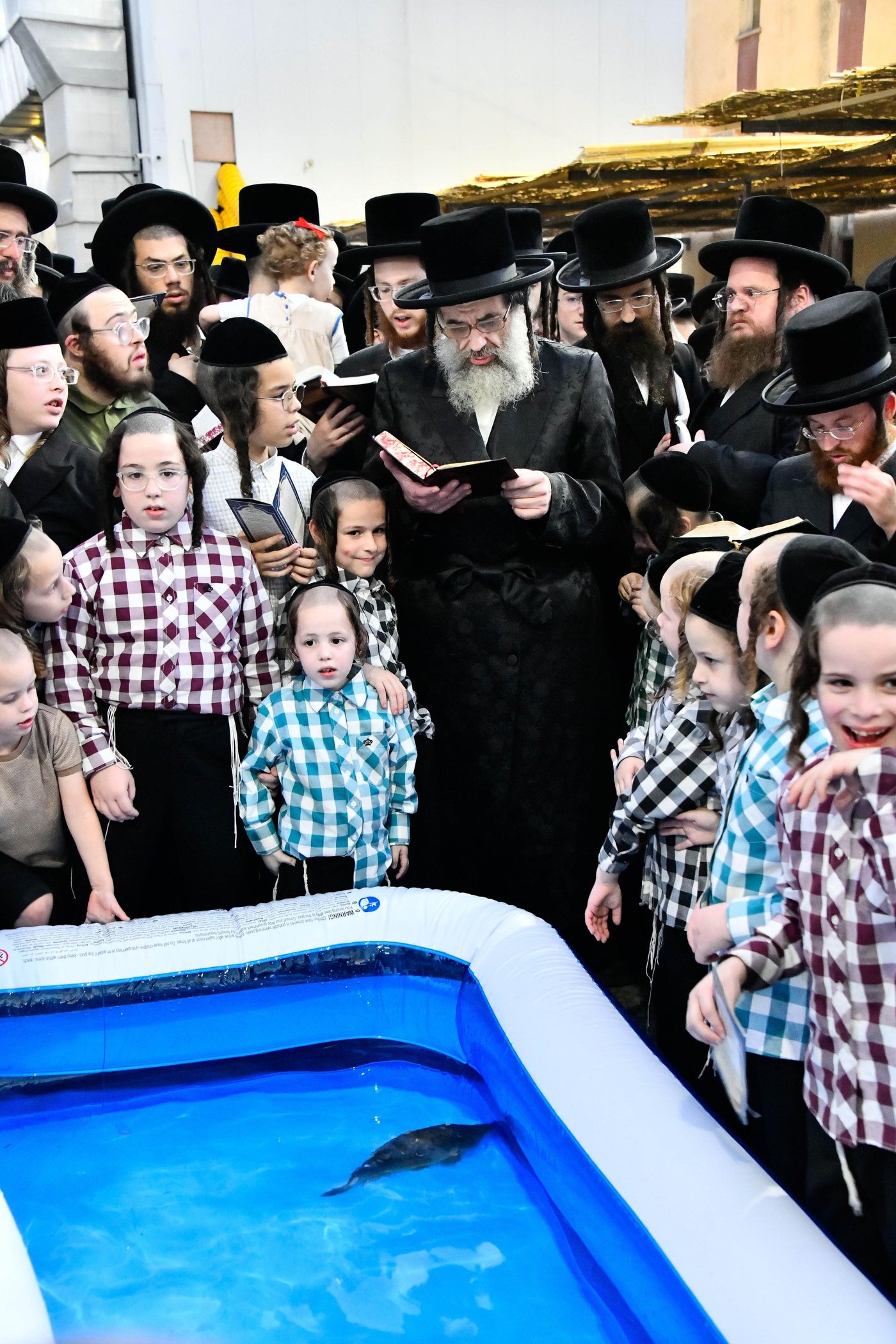 הגה"צ רבי חיים מאיר הגר, אב"ד ויז'ניץ בתשליך