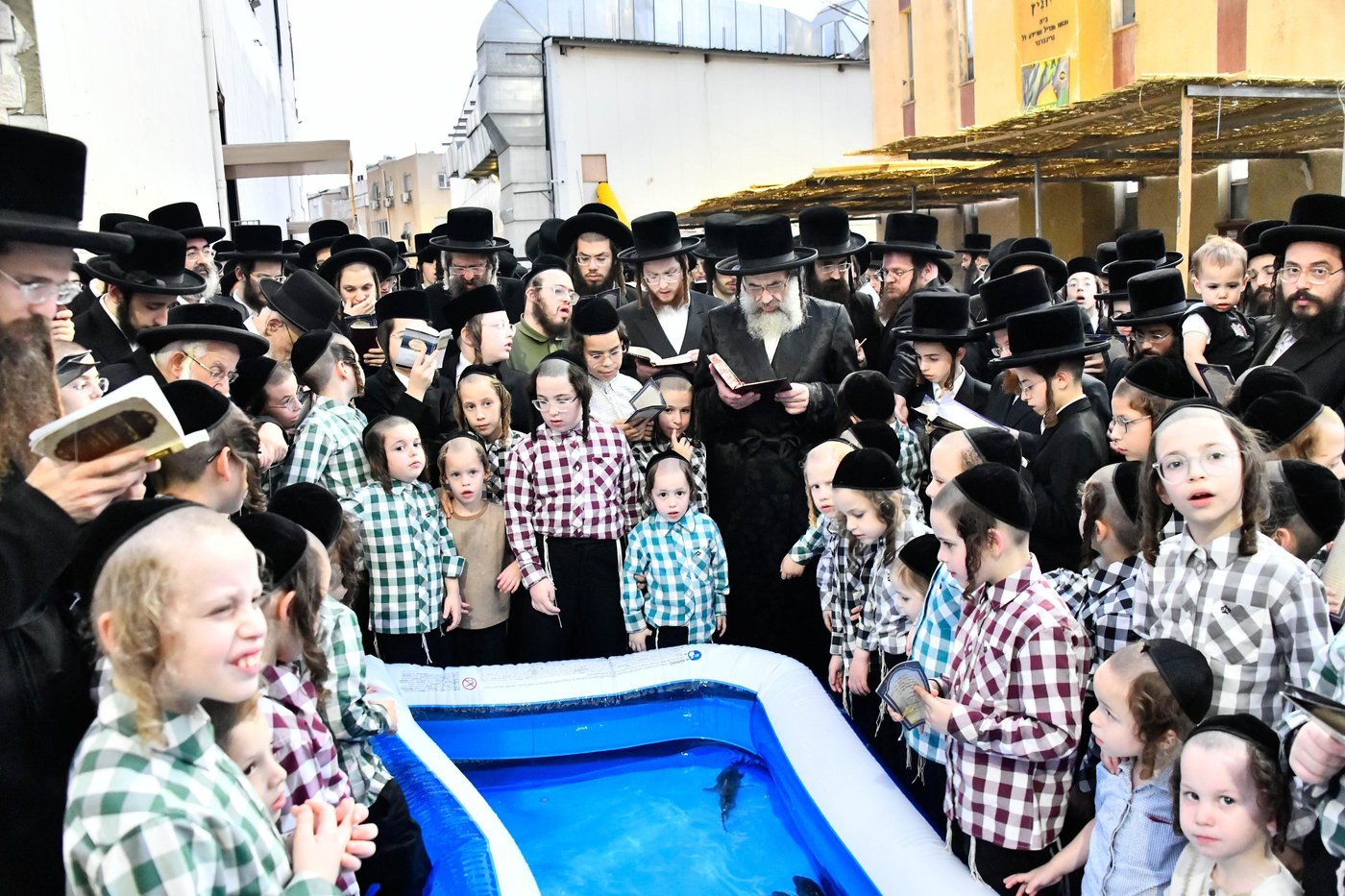 הגה"צ רבי חיים מאיר הגר, אב"ד ויז'ניץ בתשליך