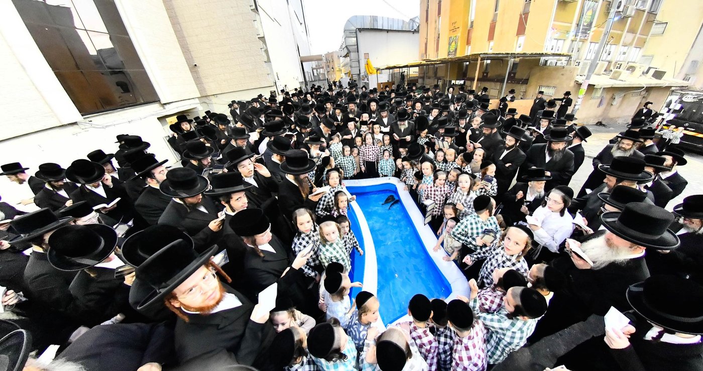 הגה"צ רבי חיים מאיר הגר, אב"ד ויז'ניץ בתשליך