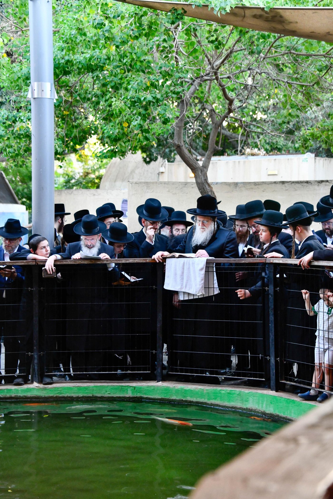 האדמו"ר ממודז'יץ במעמד תשליך