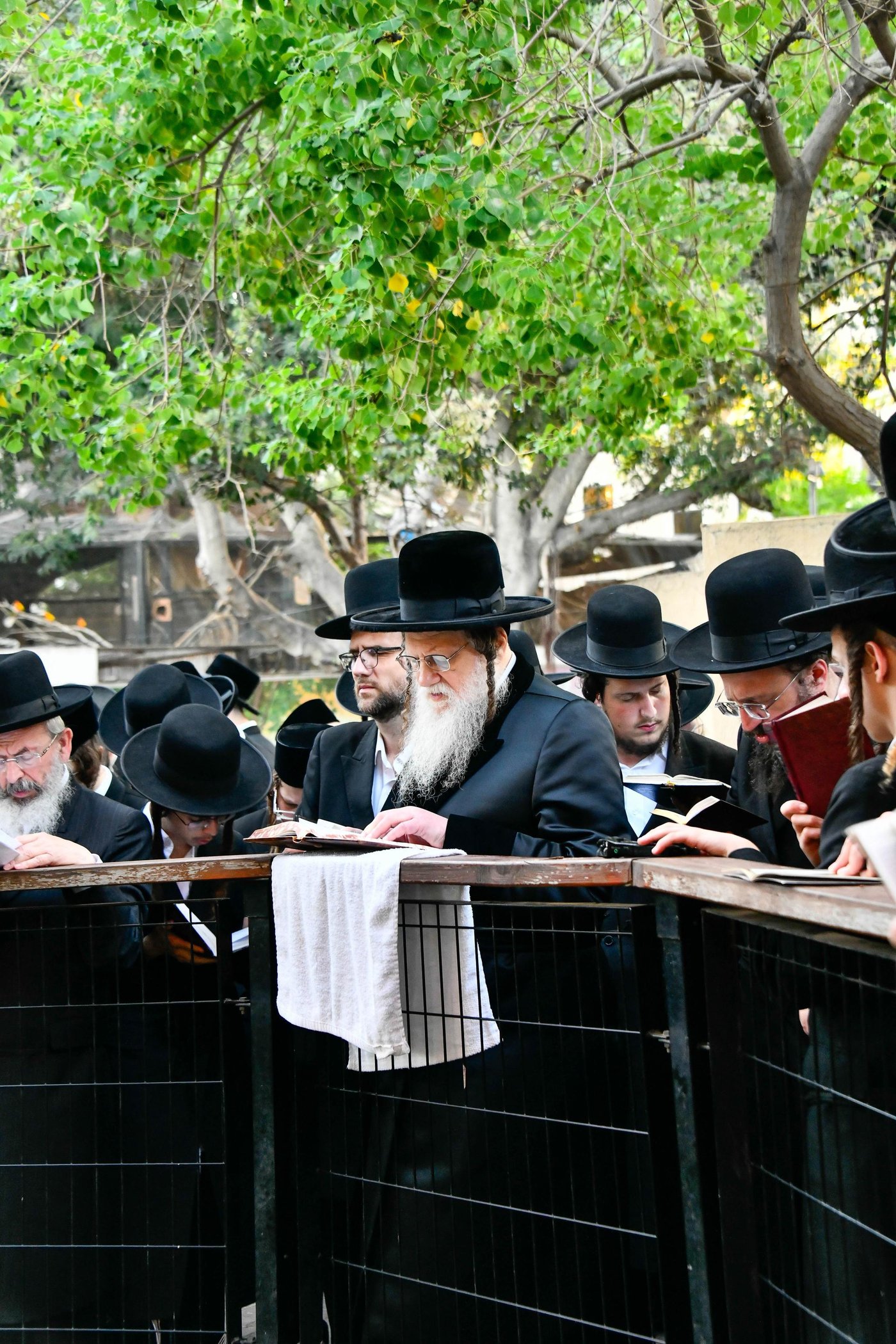 האדמו"ר ממודז'יץ במעמד תשליך