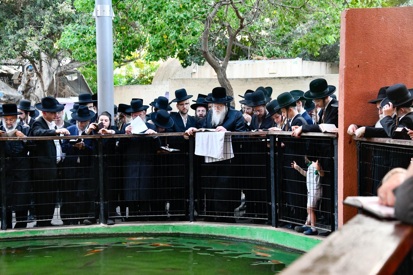 האדמו"ר ממודז'יץ במעמד תשליך