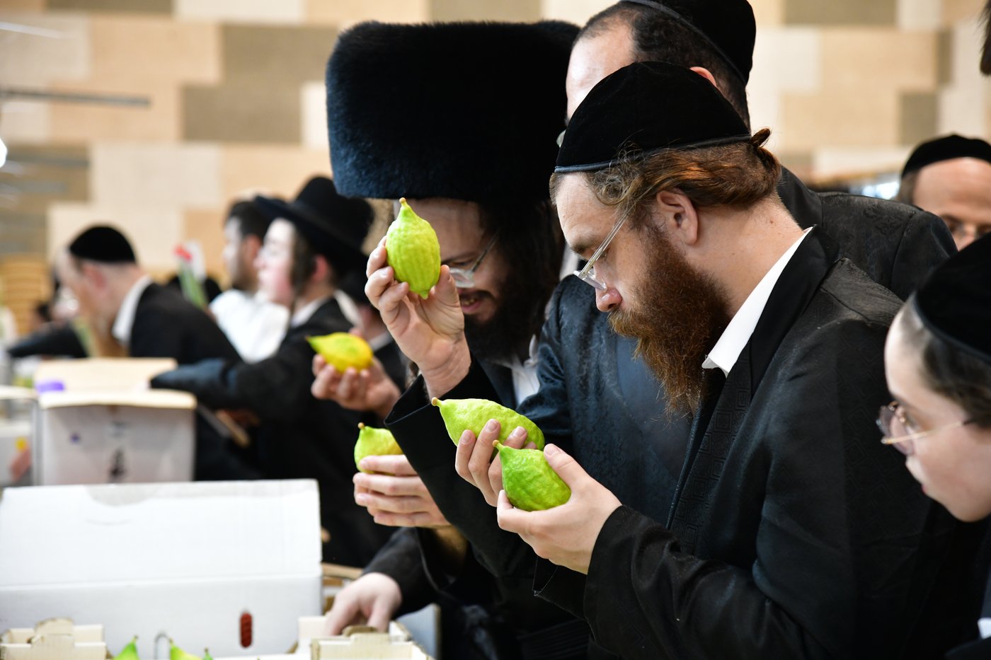אווירת ערב חג הסוכות בעיר אשדוד