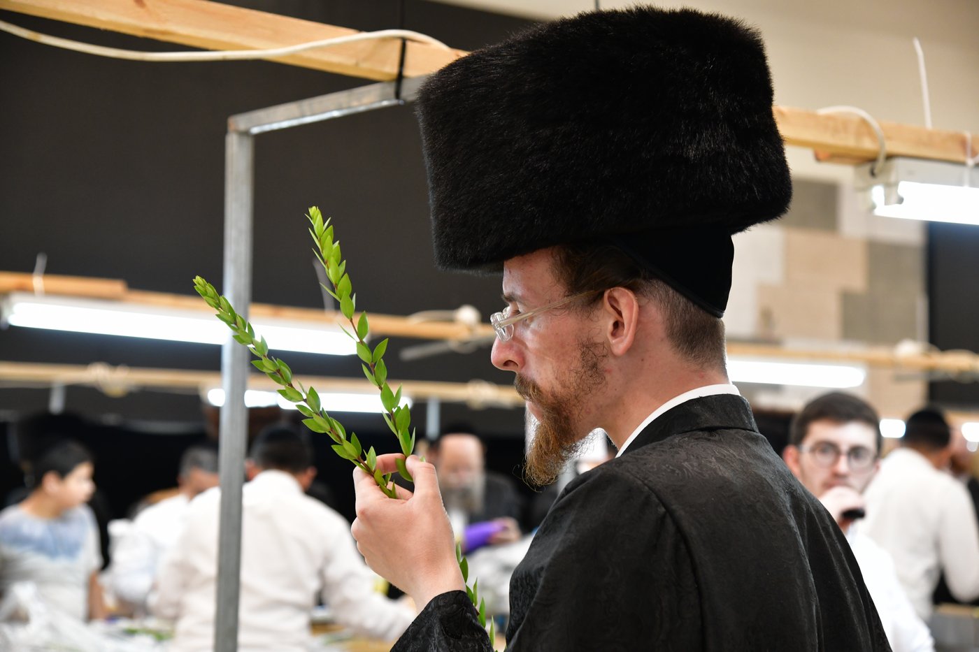 אווירת ערב חג הסוכות בעיר אשדוד