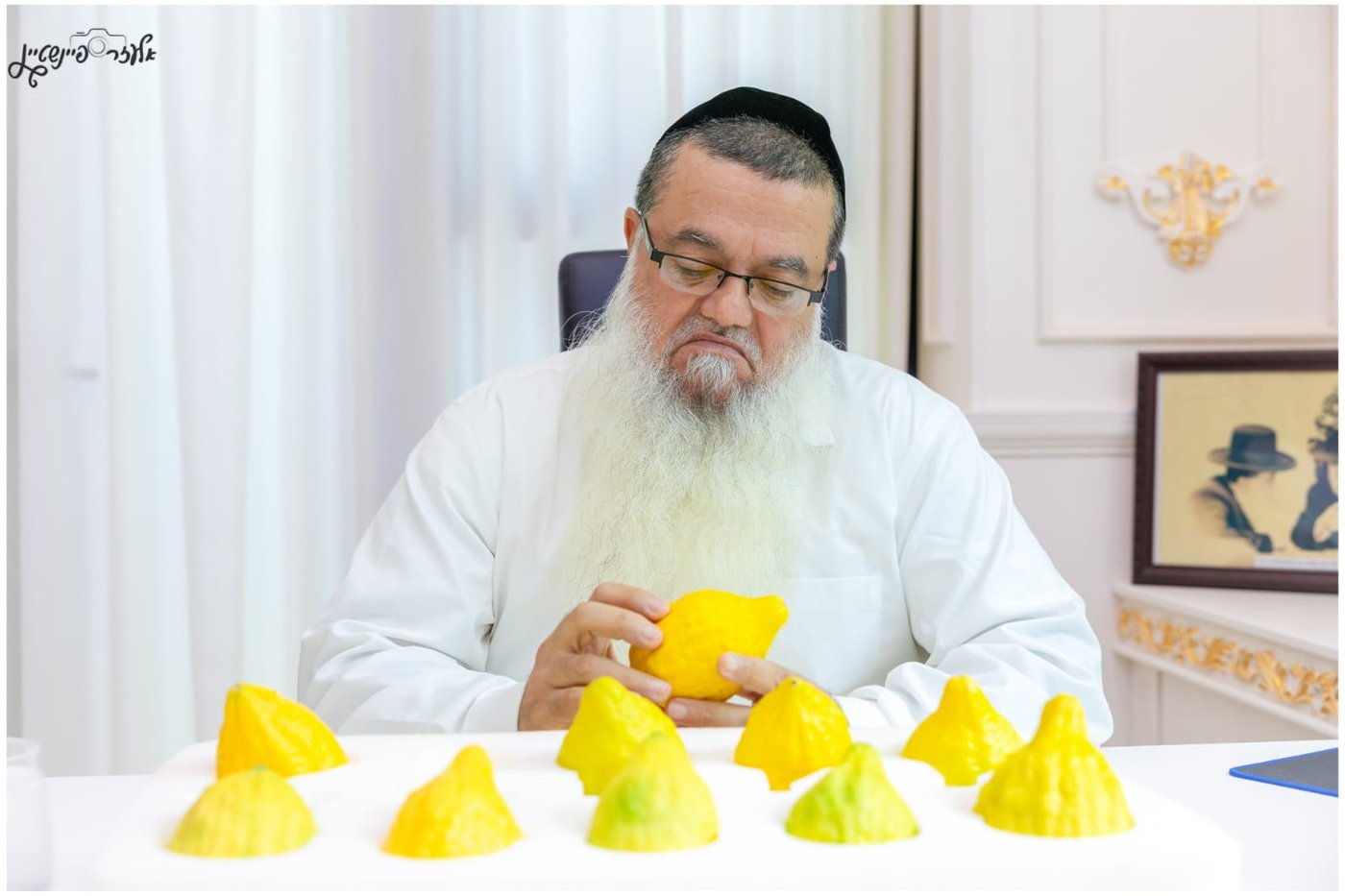 הגאון רבי יגאל כהן בבדיקת אתרוגים