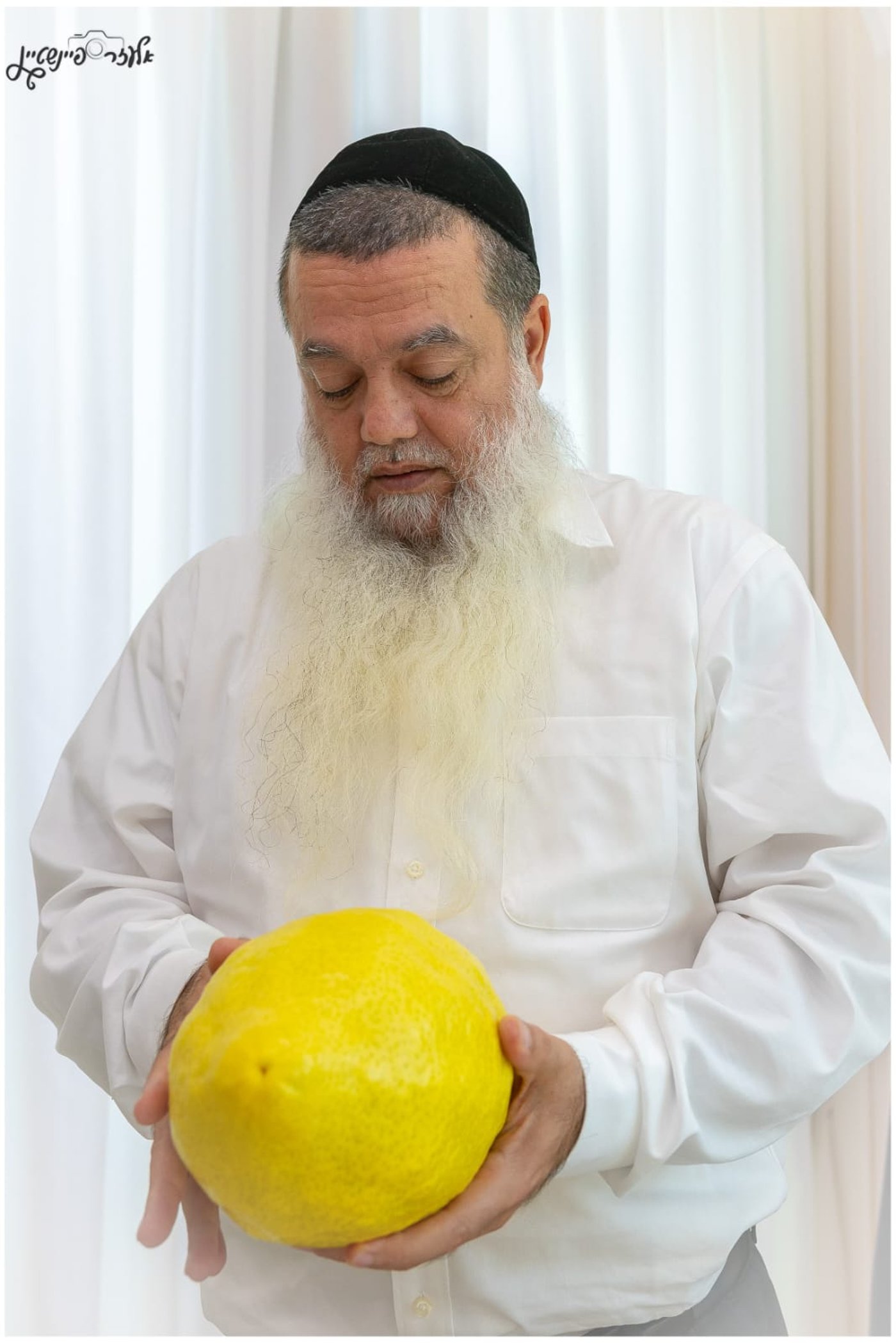 הגאון רבי יגאל כהן בבדיקת אתרוגים