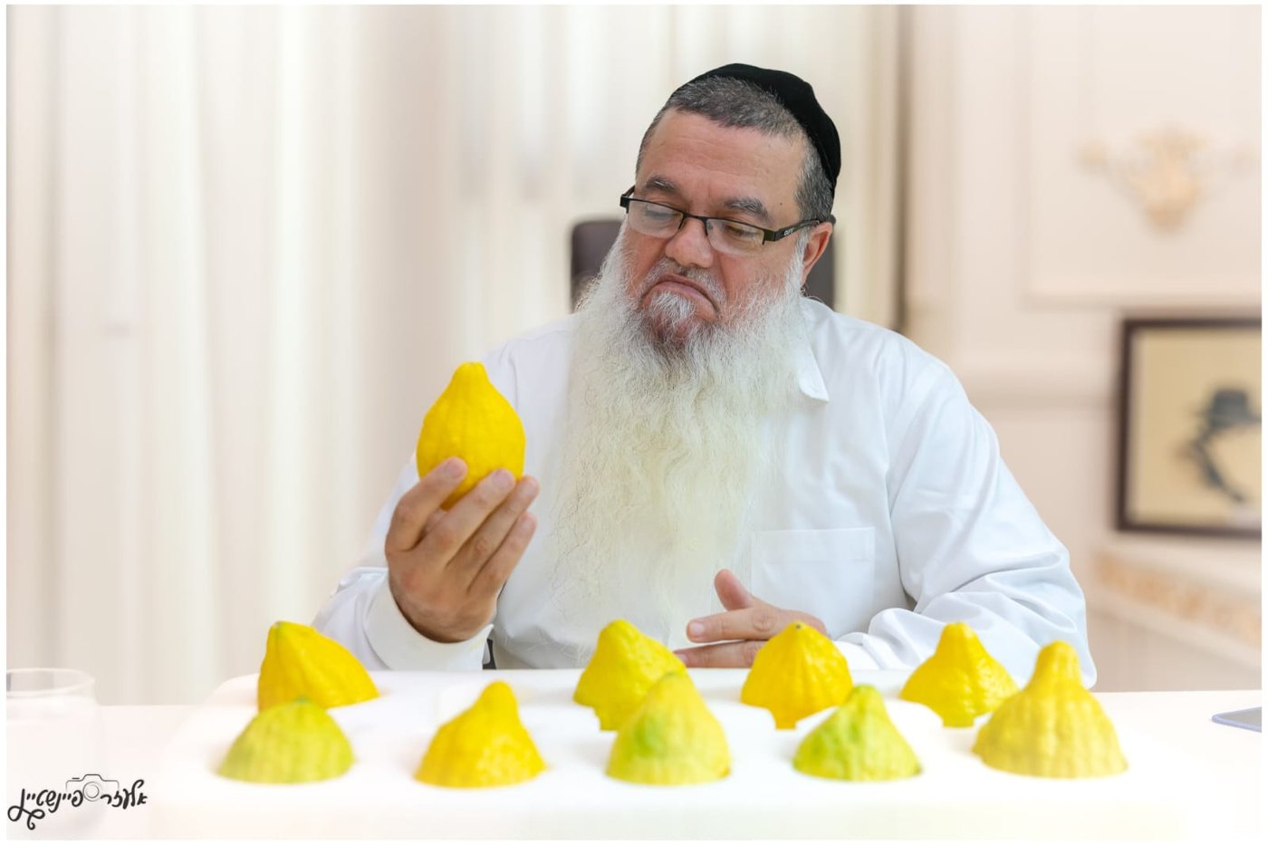 הגאון רבי יגאל כהן בבדיקת אתרוגים