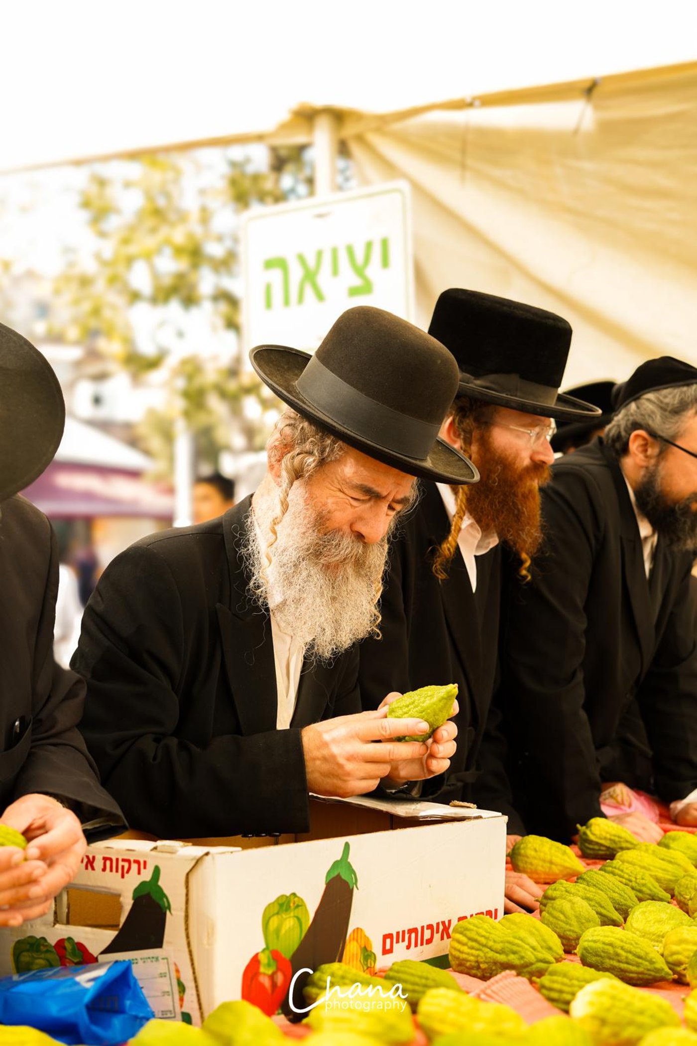 הירושלמים בשוק ארבעת המינים