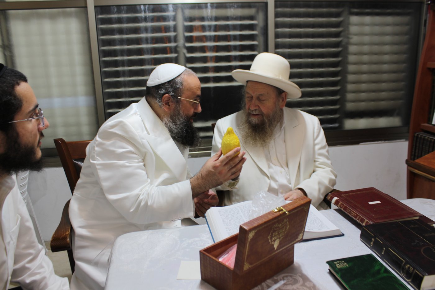הגאון רבי דוד בצרי בבחירת אתרוג לחג הסוכות