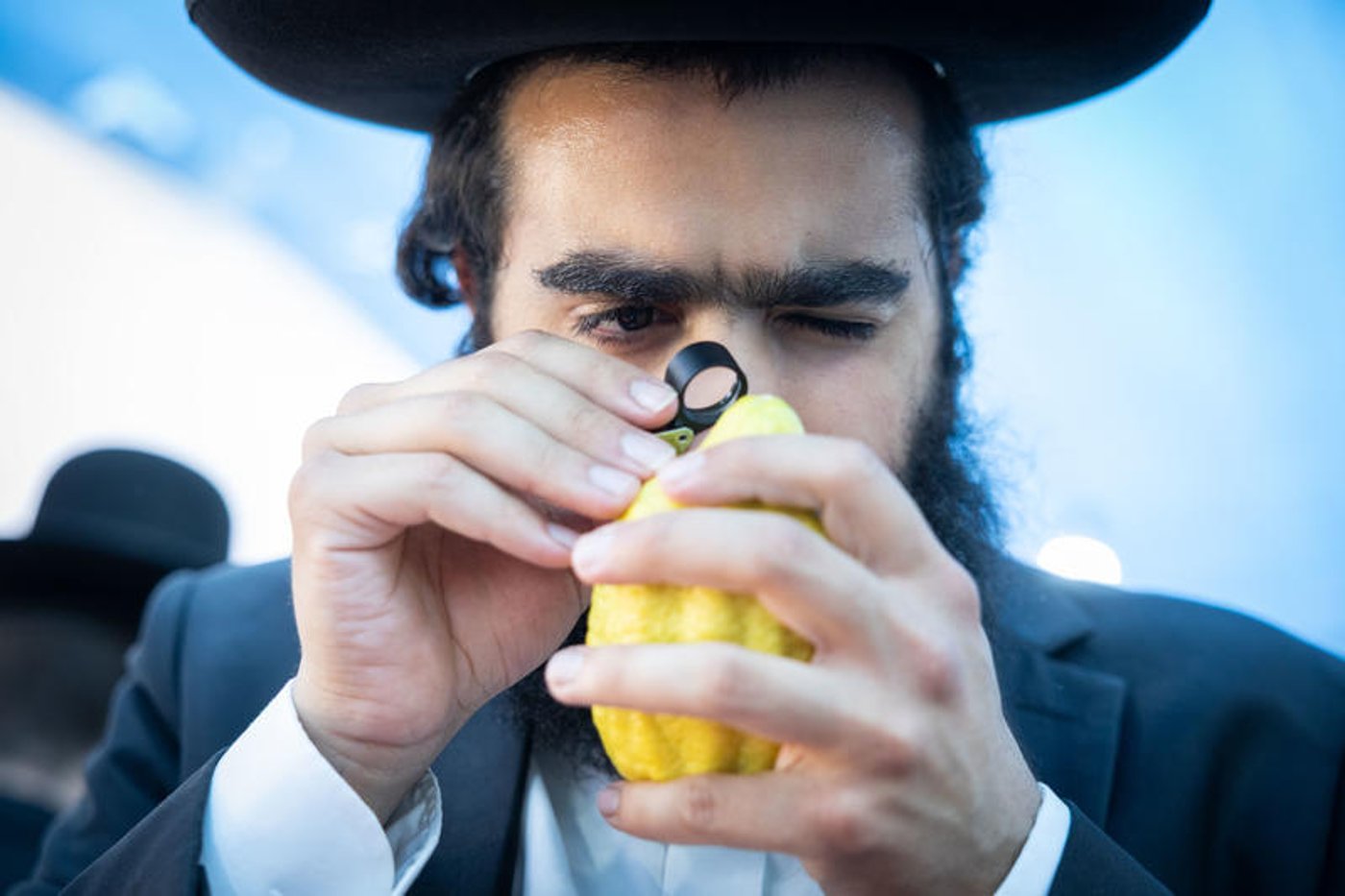 ארבעת המינים וסוכות – המשמעויות המיסטיות והסגולות המיוחדות