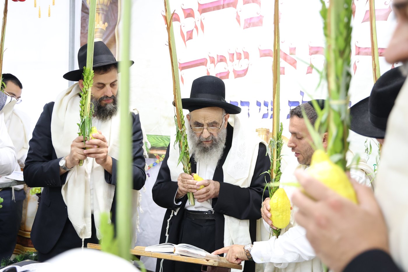 הגאון רבי משה צדקה בנטילת לולב