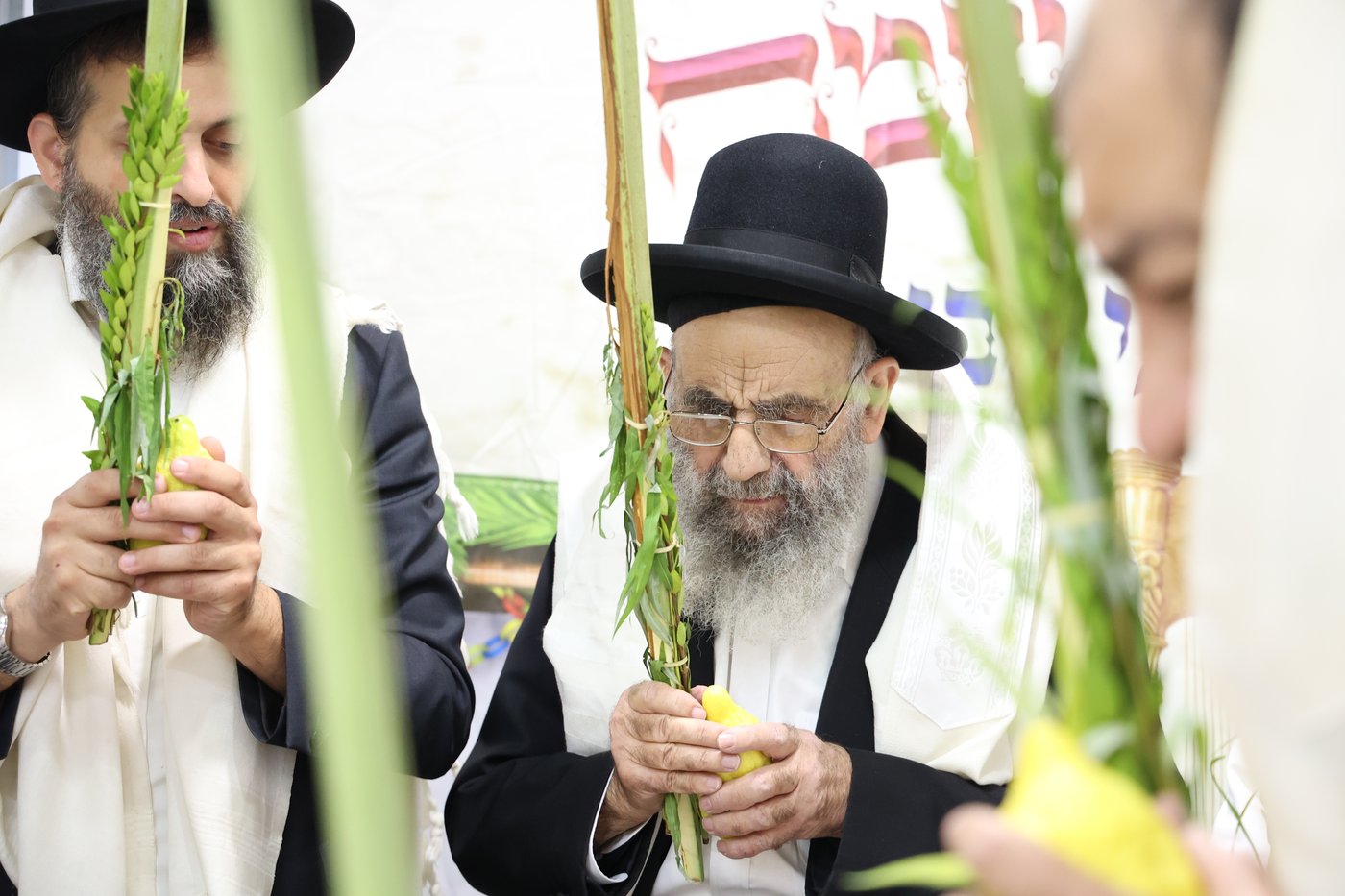 הגאון רבי משה צדקה בנטילת לולב