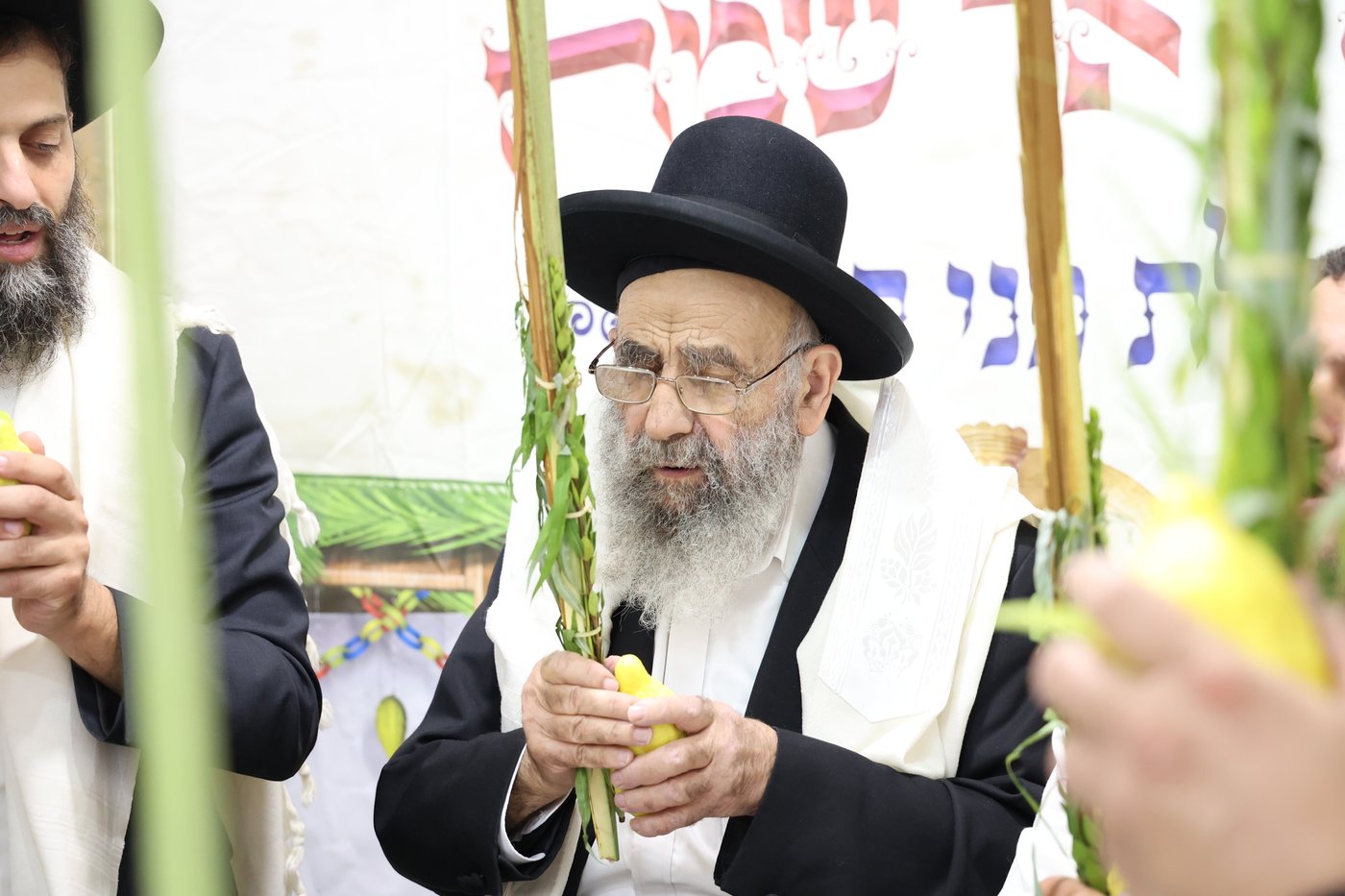 הגאון רבי משה צדקה בנטילת לולב