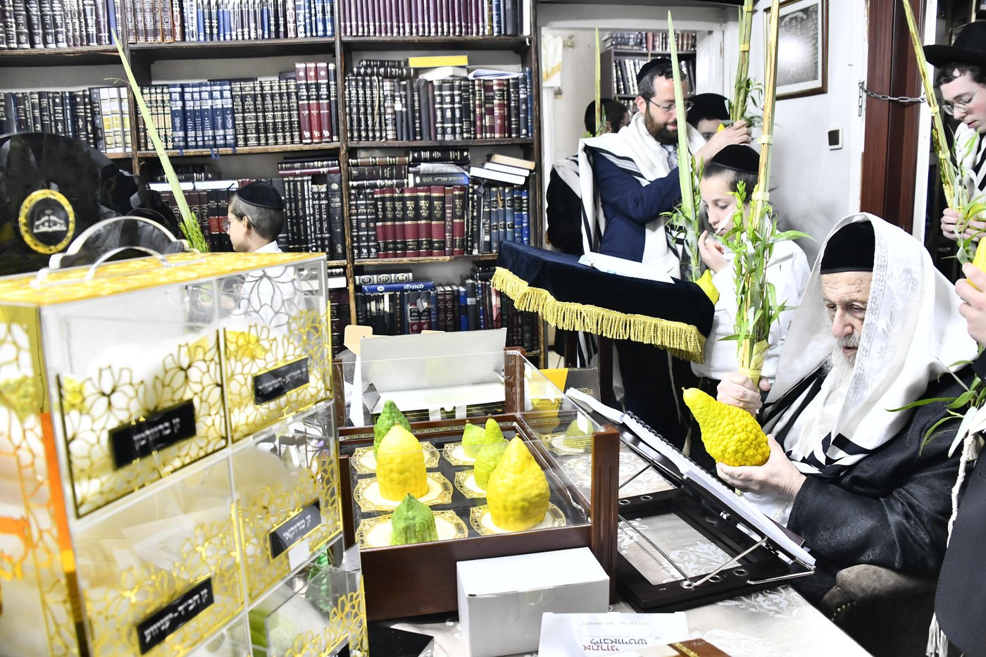 הגרב"ד פוברסקי בנטילת לולב