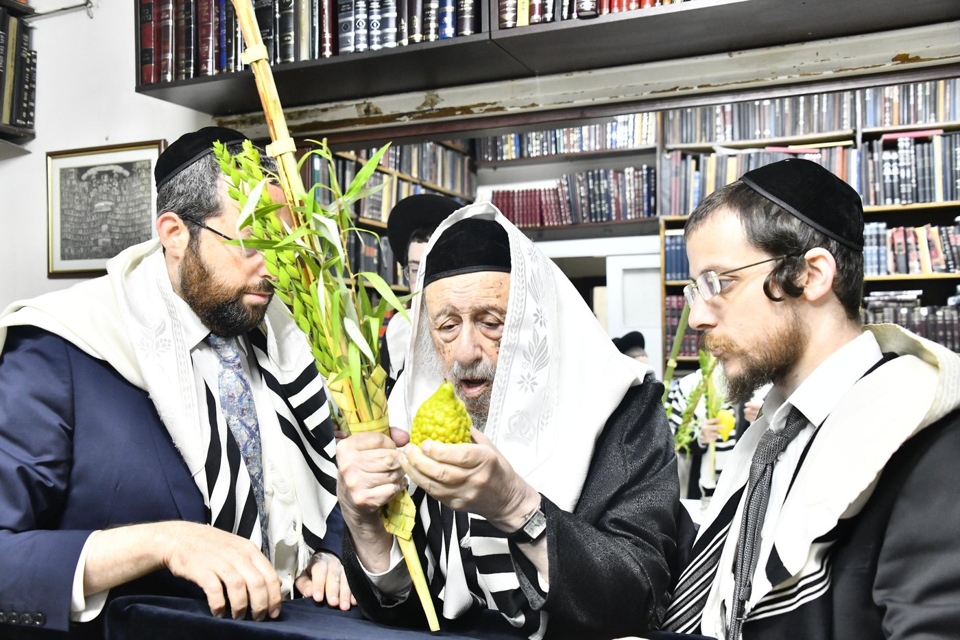 הגרב"ד פוברסקי בנטילת לולב