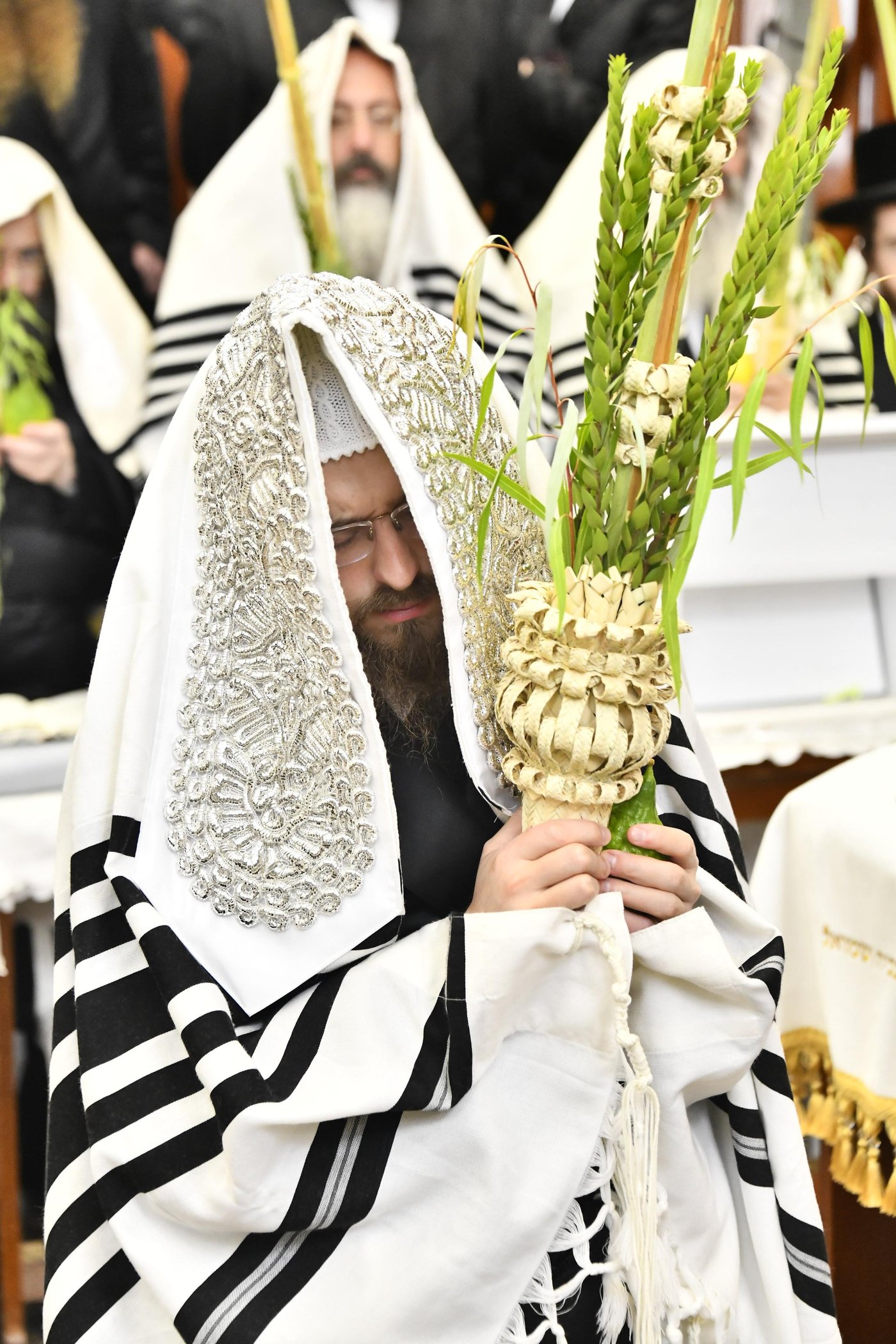 האדמו"ר מסאדיגורה בנטילת לולב