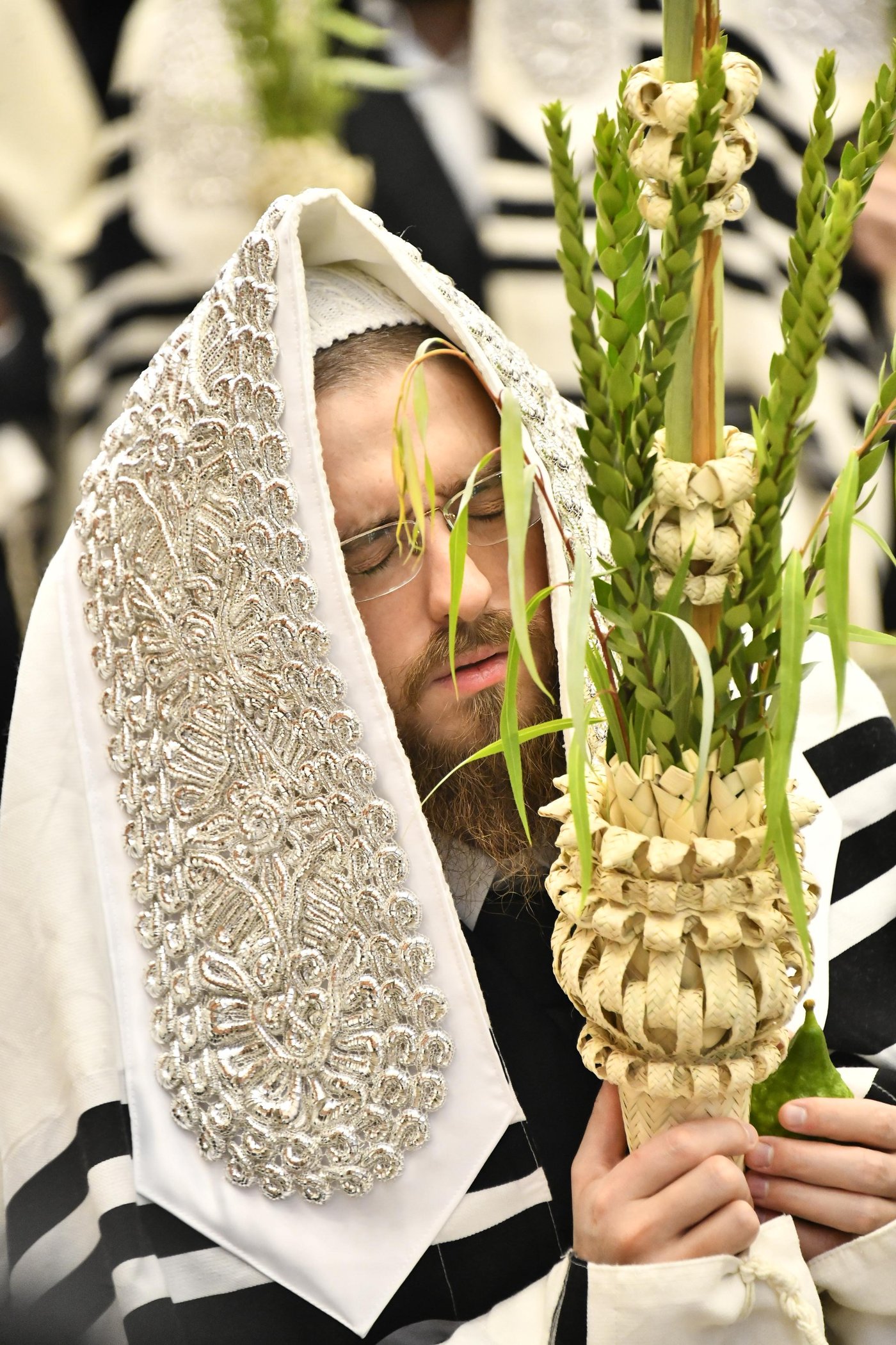 האדמו"ר מסאדיגורה בנטילת לולב