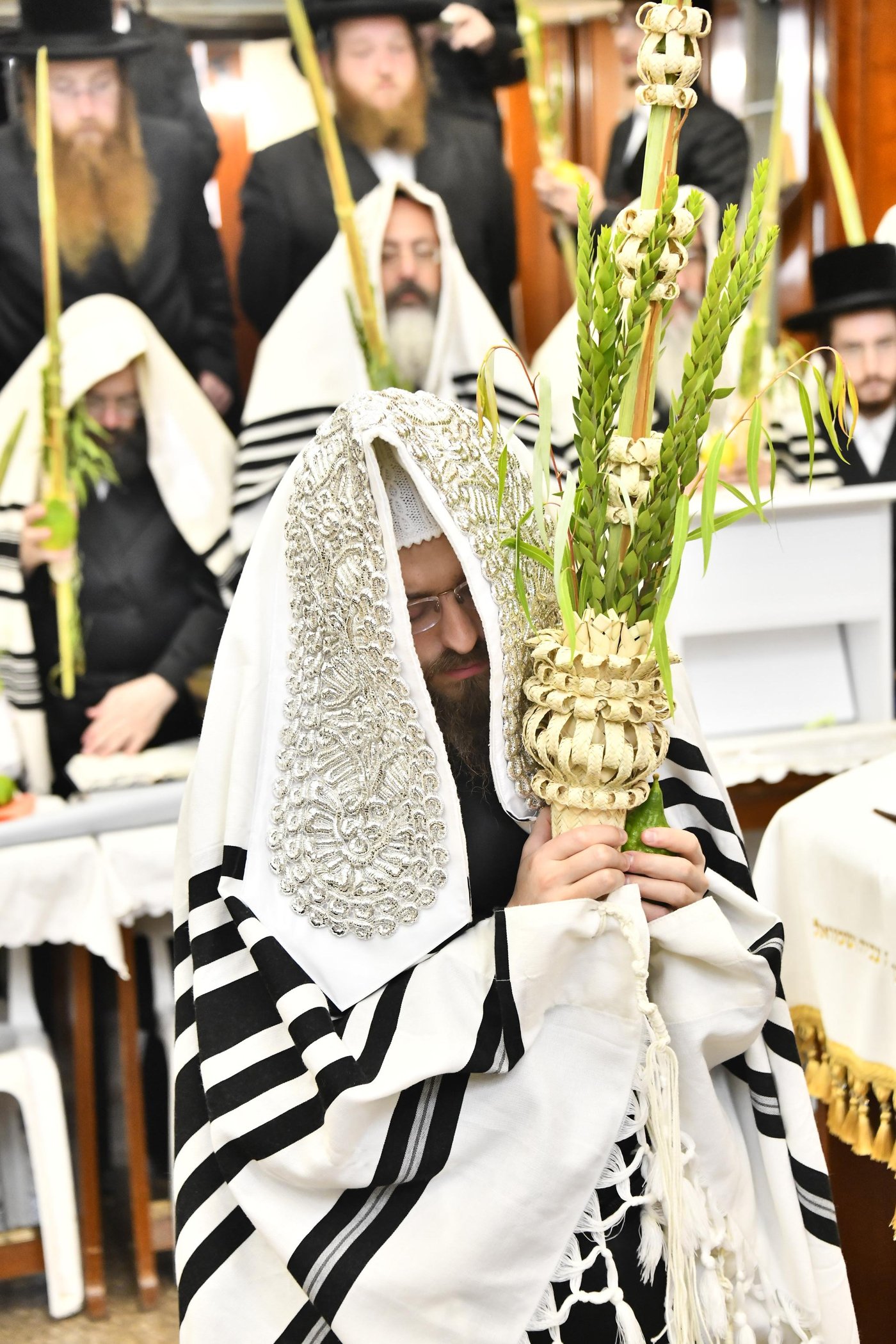 האדמו"ר מסאדיגורה בנטילת לולב
