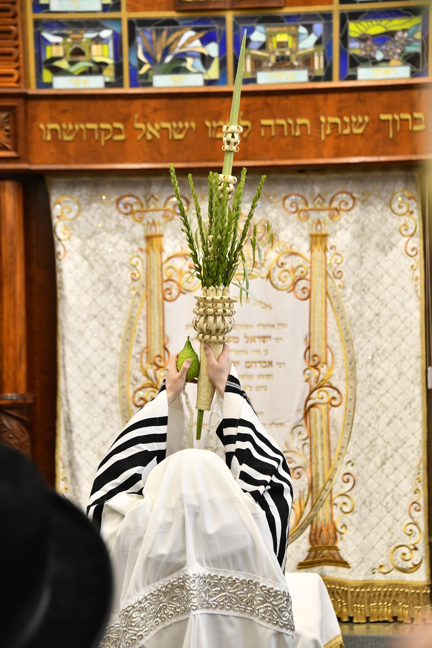 האדמו"ר מסאדיגורה בנטילת לולב