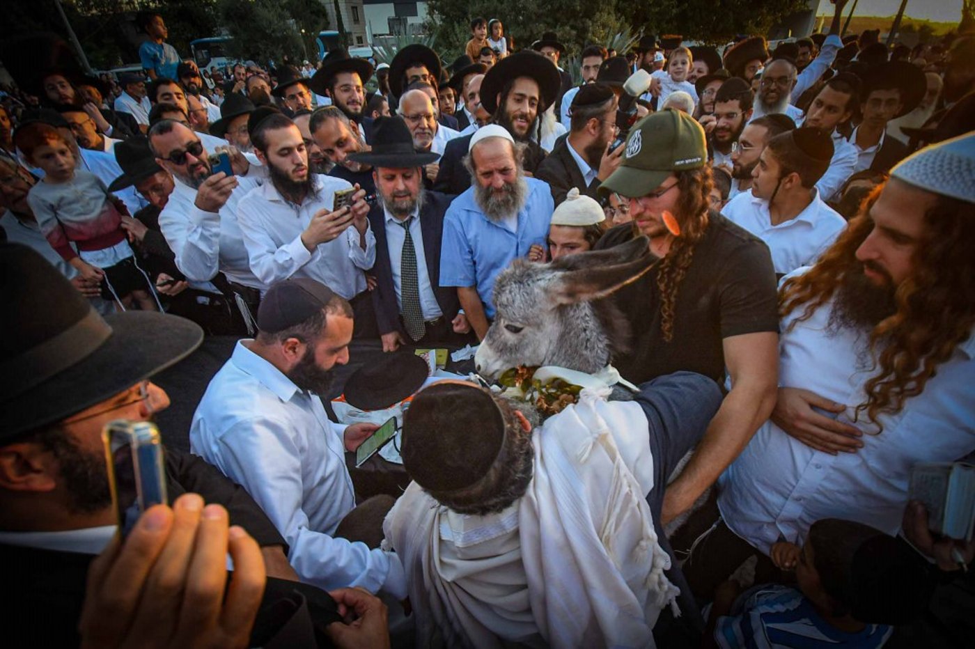 פדיון פטר חמור בעמנואל