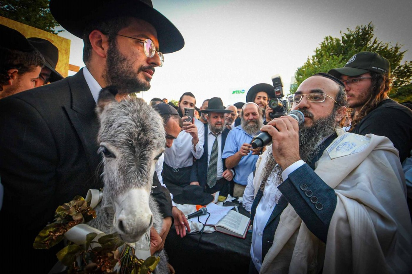 פדיון פטר חמור בעמנואל