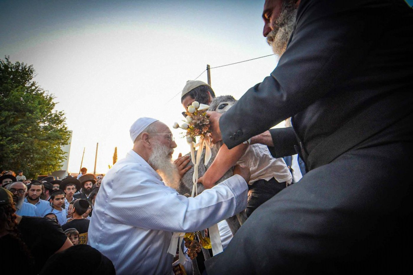 פדיון פטר חמור בעמנואל