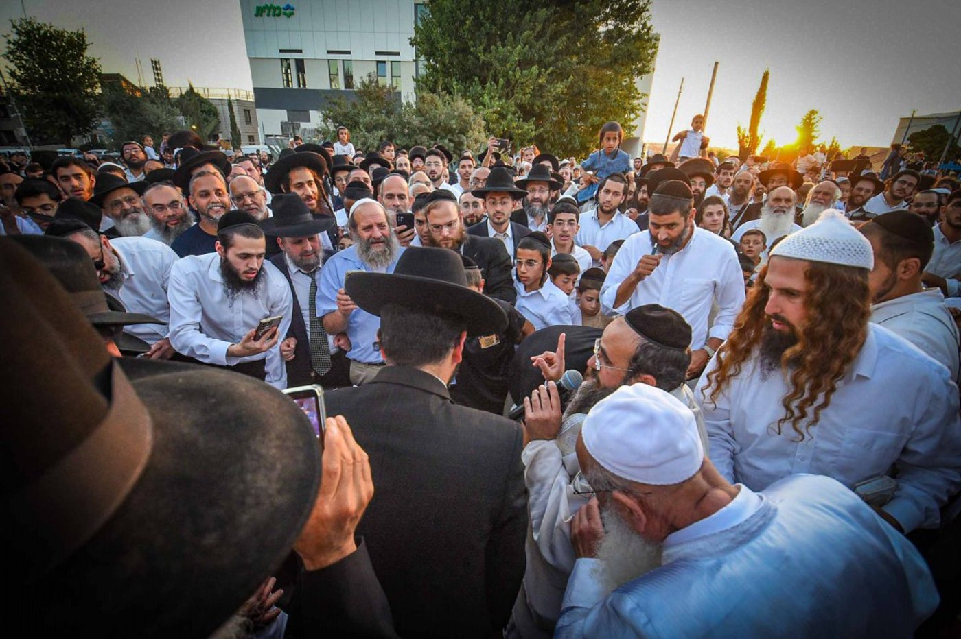 פדיון פטר חמור בעמנואל