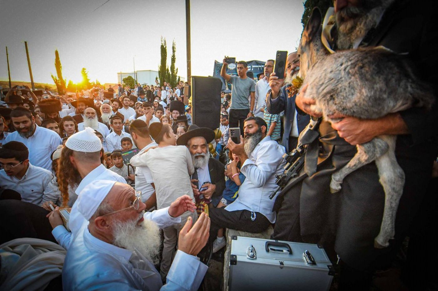 פדיון פטר חמור בעמנואל