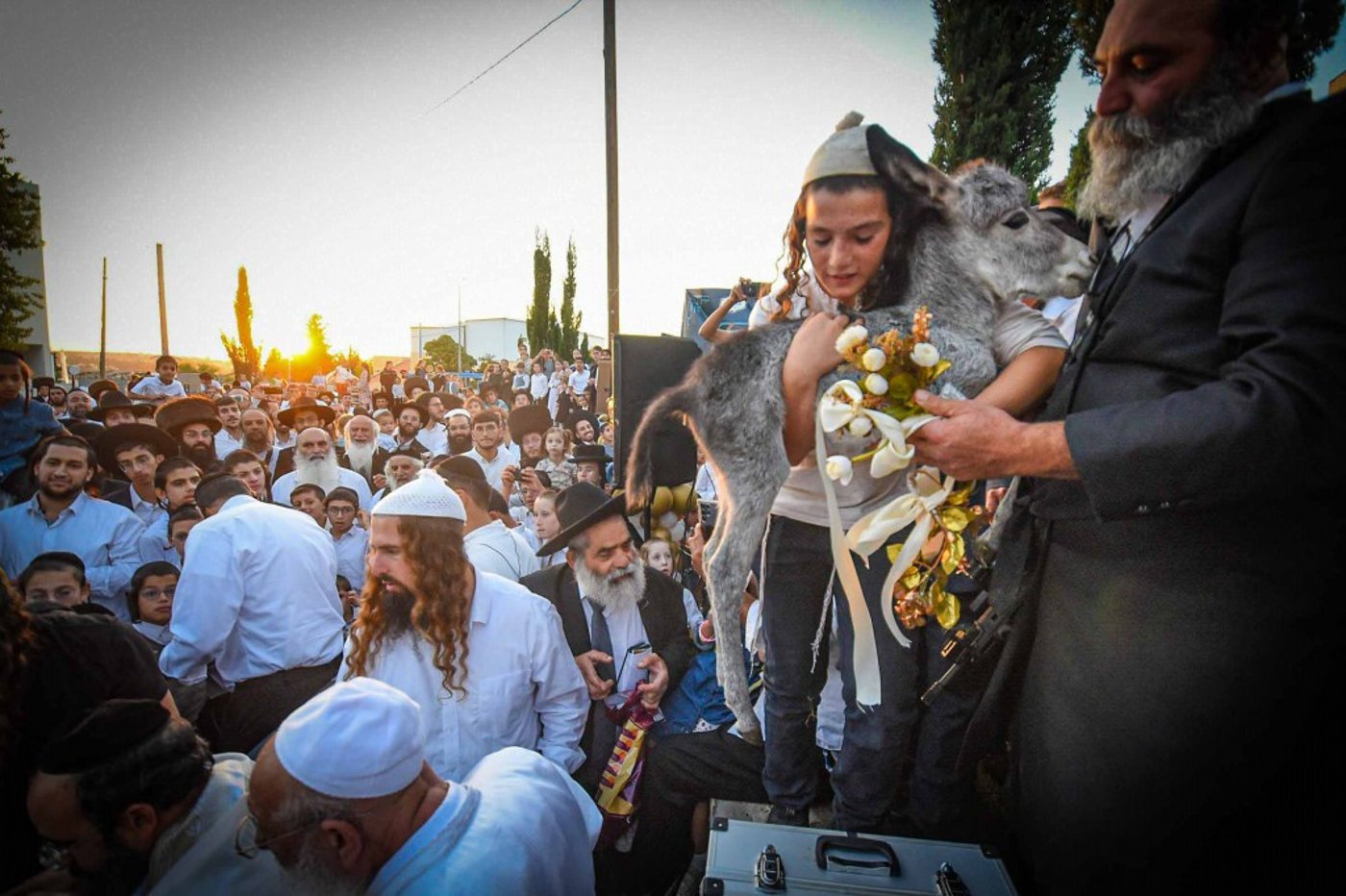 פדיון פטר חמור בעמנואל