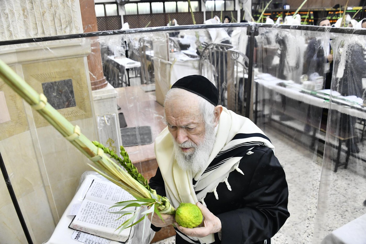 הגר"י זילברשטיין בנטילת לולב
