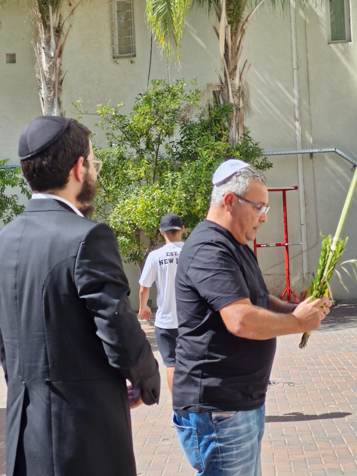 מנענעים לשלום החטופים: רבבות נוטלים ארבעת המינים | תיעוד ירוק