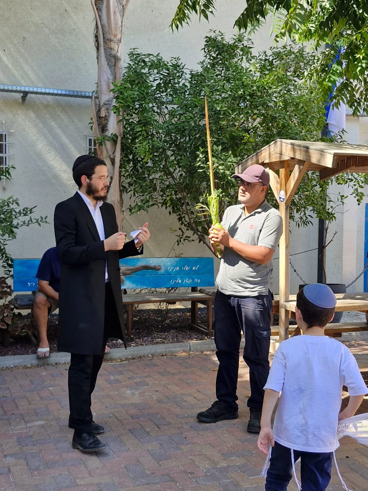 מנענעים לשלום החטופים: רבבות נוטלים ארבעת המינים | תיעוד ירוק