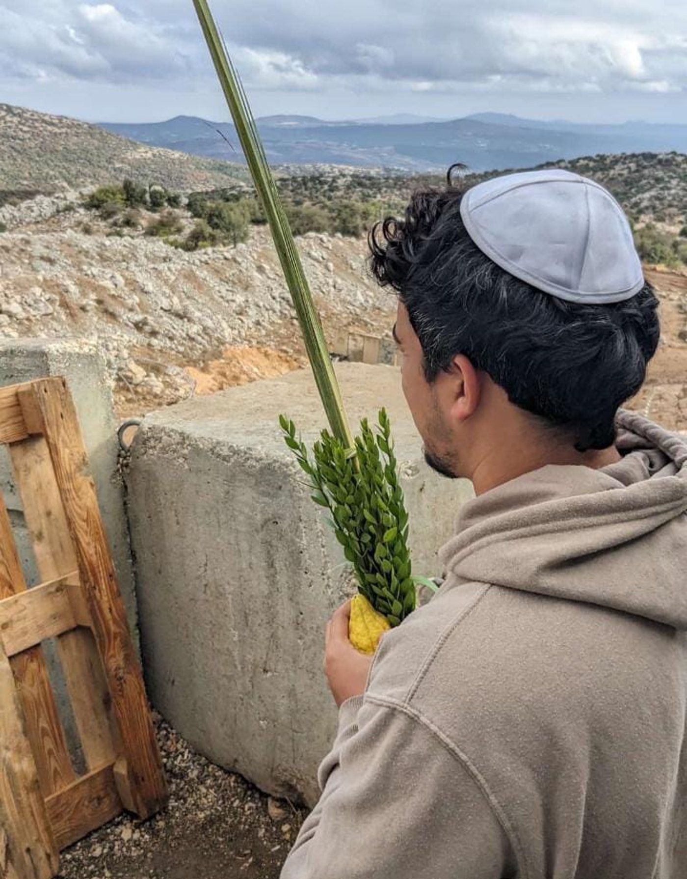 מנענעים לשלום החטופים: רבבות נוטלים ארבעת המינים | תיעוד ירוק