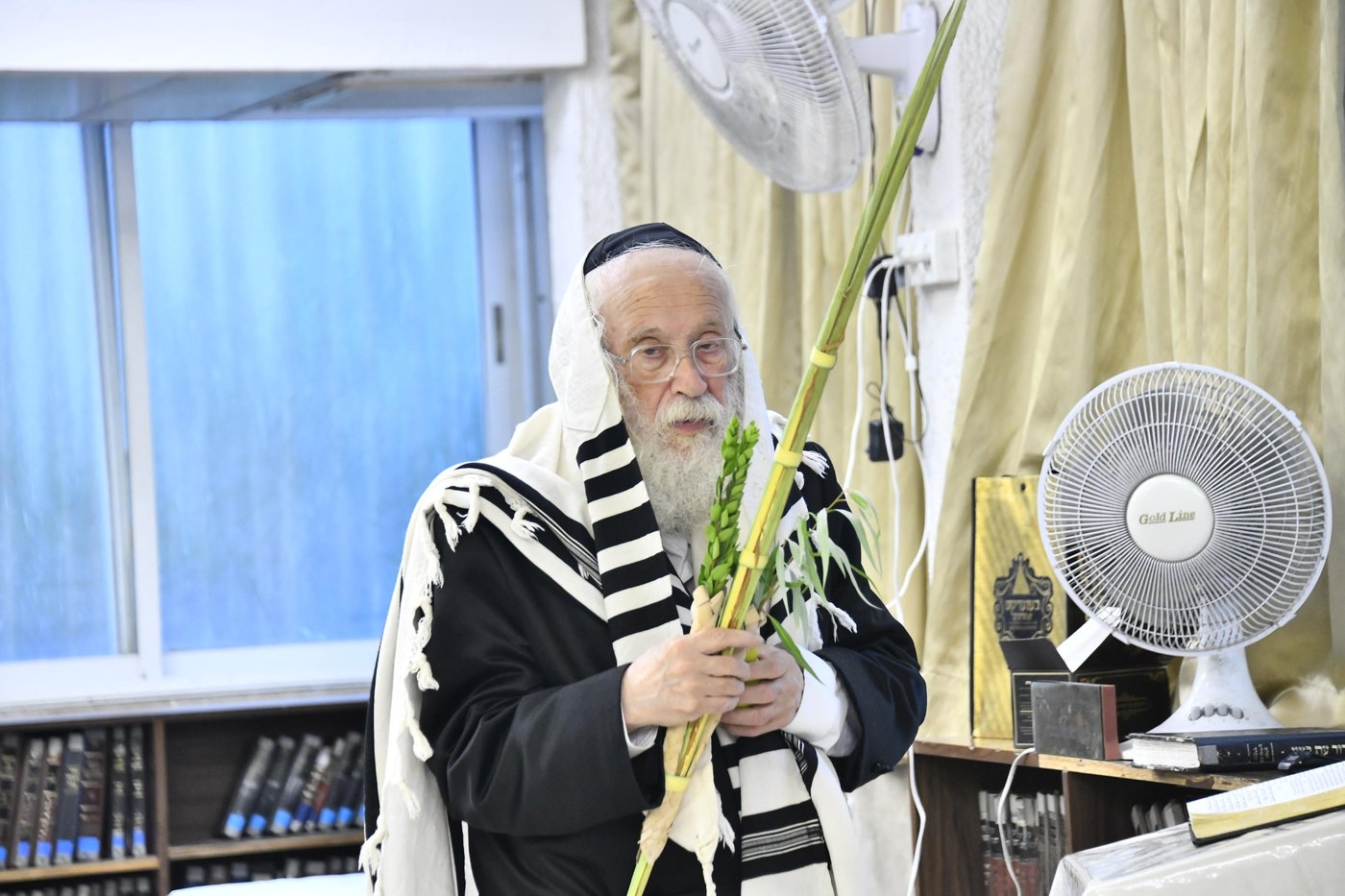 הגאון רבי יהודה סילמן בנטילת לולב