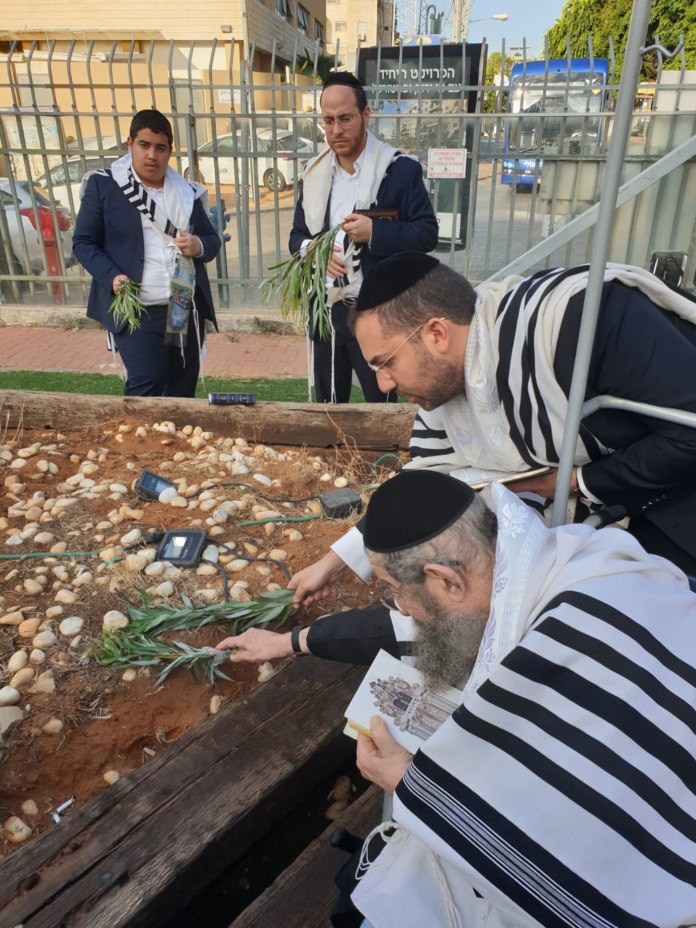 הגאון רבי מסעוד בן שמעון בחביטת הערבות בחצר בית החולים